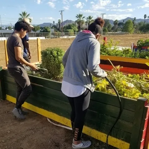 Volunteers working on a community vegetable garden in Riverside