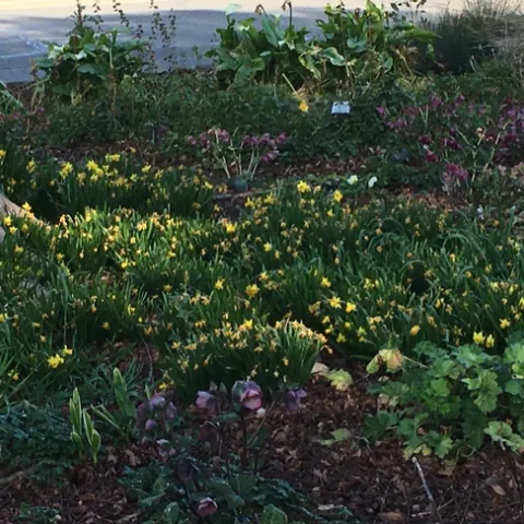 photos by Michelle Davis