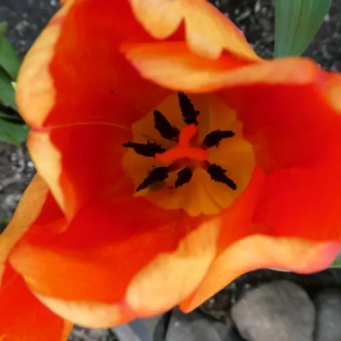 photos by Launa Herrmann