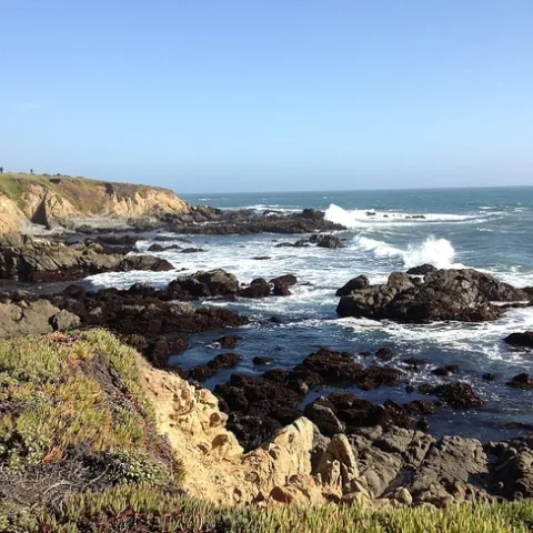 Bluffs and rocky shoreline in Cambria, Calif. (Photo: Peter D. Tillman CC BY-SA 3.0)