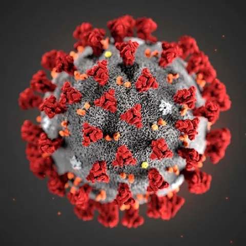 COVID-19 image from Centers for Disease Control and Prevention (CDC).