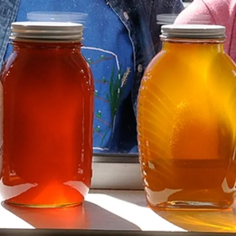 A row of honey jars. (Photo by Kathy Keatley Garvey)