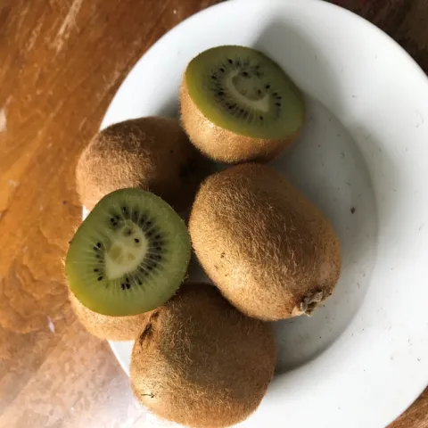 Photo by Andrea Peck