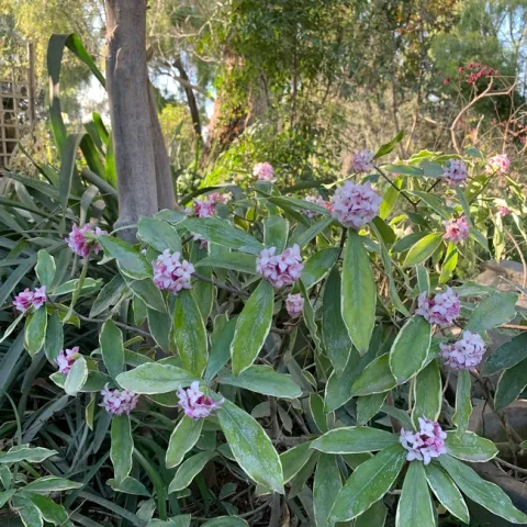 Photo by Diane Valentine