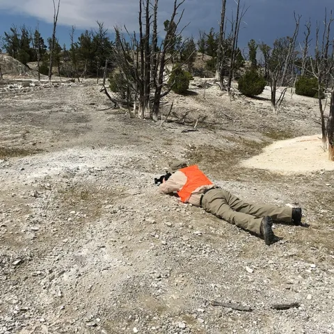 Montana State University entomology professor Robert "Bob" Peterson photographing insects in the Greater Yellowstone Ecosystem.
