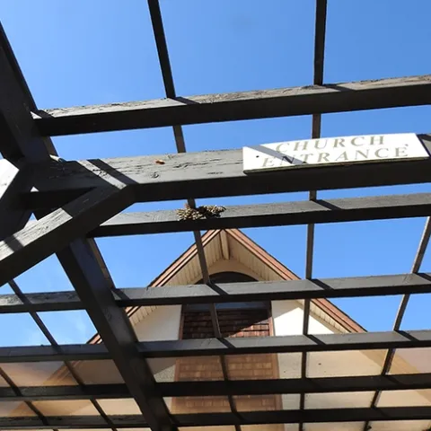 The honey bees swarmed last week to the entrance to the Epiphany Episcopal Church, Vacaville. (Photo by Kathy Keatley Garvey)
