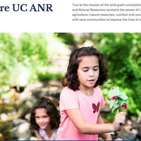 Wondering what ANR's new web interface will look like? A preview is available for feedback.