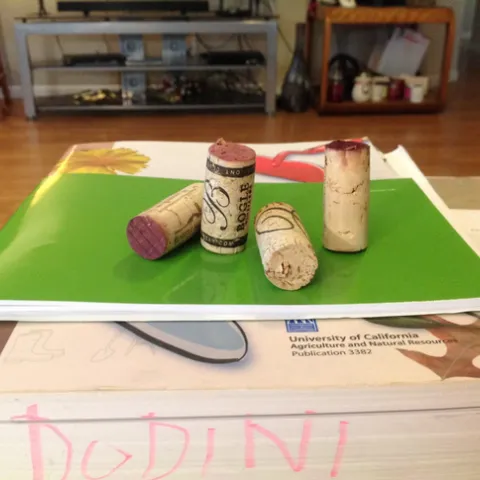 corks on book jdodini 2020