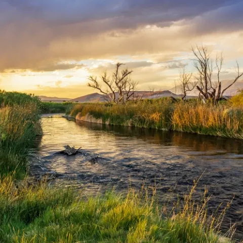 Clouds are overhead as dusk falls, with low sunlight reflecting off the surface of curving river.