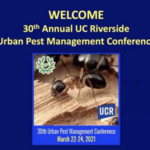 Screen Shot 2021-04-03 at 9.46.20 PM