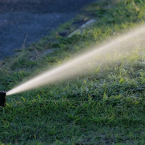 Overwatering the landscape and leaks in irrigation systems are the two most common water-wasting mistakes identified by the Garden Walks program. (Photo: Pixabay)