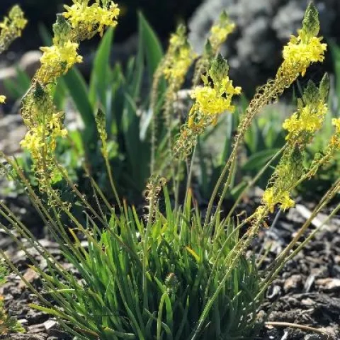 photos by Karen Metz