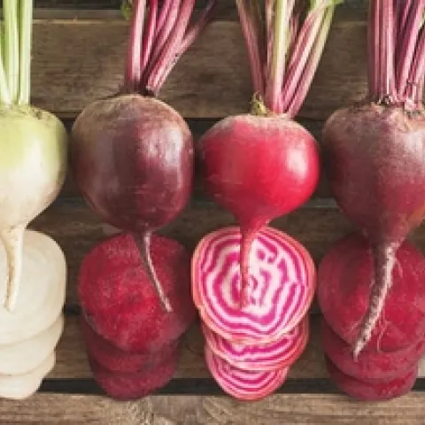 Beet variety. (johnnyseeds.com)