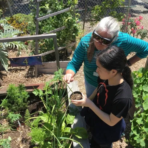 Master Gardeners Volunteers