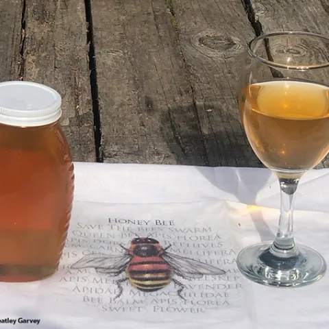 Participants in the California Master Beekeeper Program's online introduction to mead will learn about honey and mead. (Photo by Kathy Keatley Garvey)