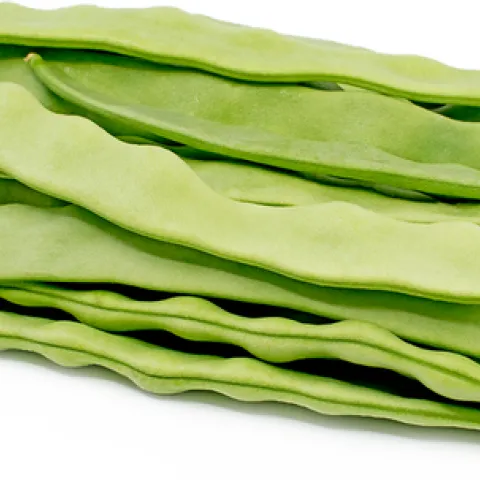Romano beans, flatter than Blue Lakes. (specialtyproduce.com)