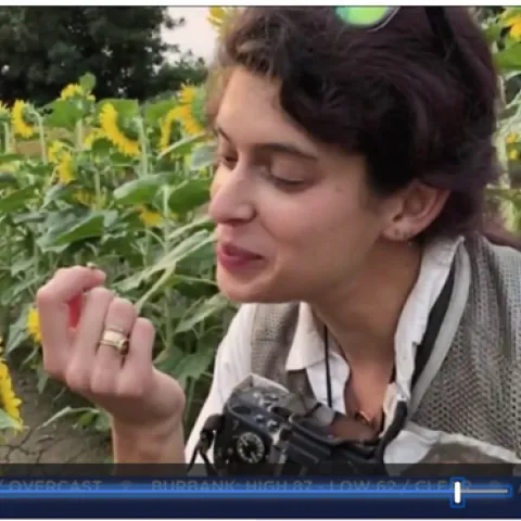 This is a screen shot of Lauren Ponisio in a CBS Los Angeles video, "Bee Biologist Can't Stop Buzzing About Her Work." CBS wrote that she "puts science, technology and math to work in her study of bees."
