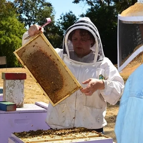 Extension apiculturist Elina Lastro Niño teaching a course at the Harry H. Laidlaw Jr. Honey Bee Research Facility, UC Davis. (Photo by Kathy Keatley Garvey)