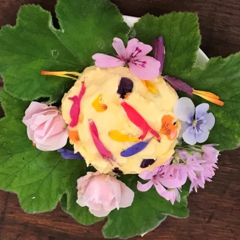 Photo by Sharon Lovejoy