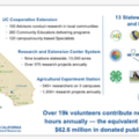 overview slides 2021