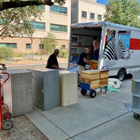Bohart Museum officials and supporters unload the wasp specimens. Inside the truck is Bohart Museum director Lynn Kimsey. Forensic entomologist Bob Kimsey helps unload the drawers. At far right is Bohart Museum research associate Brennen Dyer. Also pictured are Kimsey friends, Mike Whitney, retired Placer County sheriff and his wife, Becky, with the handtruck. (Photo by Steve Heydon)