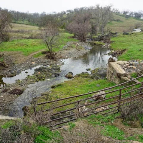 California's developed water is vital to urban areas, irrigated agriculture and the environment.