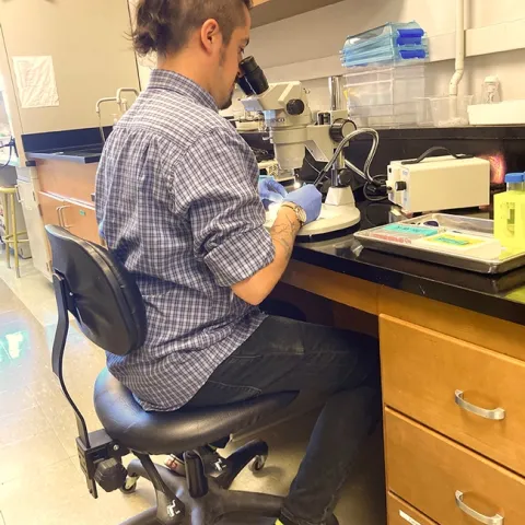 Postdoctoral fellow Sergio Hidalgo Sotelo of the Joanna Chiu lab working on his research.