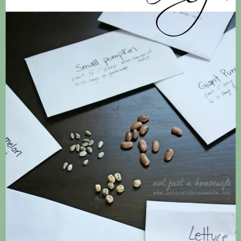 When saving seed, keep good records. (blog.homes.com)