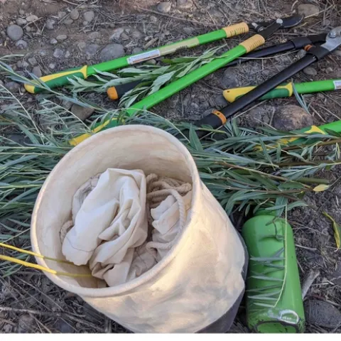 Wildtending tools include collecting bags, loppers, and water, Janeva Sorenson