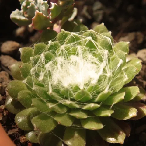 photo by Jennifer Baumbach