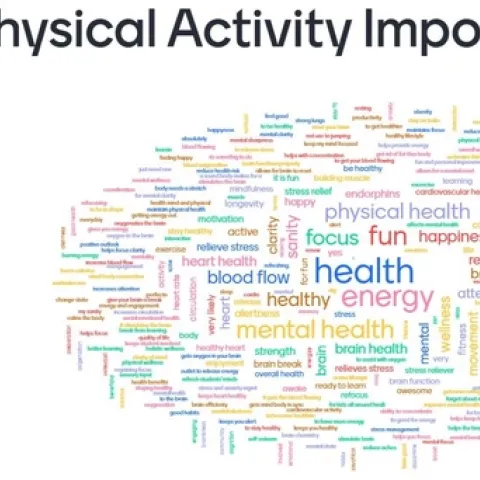 Teachers create a word cloud with over 320 responses during virtual training on physical activity strategies during COVID-19 distance learning.
