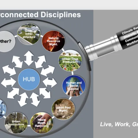 Image of a magnifying glass over Transportation, natural resource management, human and social capital, urban crop production, urban pest management, green infrastructure,