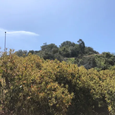 overhead irrigation 2