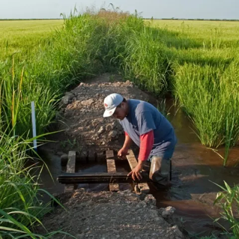 Montna Boards 82113 Lres