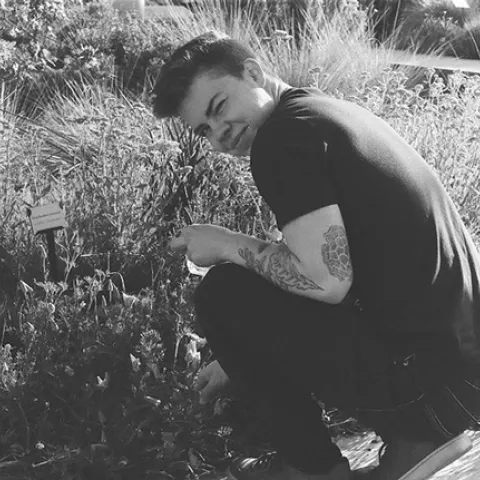 Microbiologist Shawn Christensen scoping out California golden poppies at the UC Davis Arboretum to take into his lab for experiments. Yes, Shawn says, the tattoo is of pollen grain. (Photo by Benjamin Van Domelen)