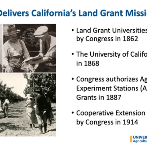 An overview of ANR is available in a set of PowerPoint slides.