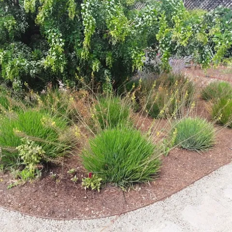 From small to large in 8 months