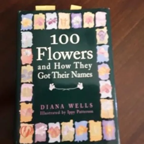 photo by Betty Victor