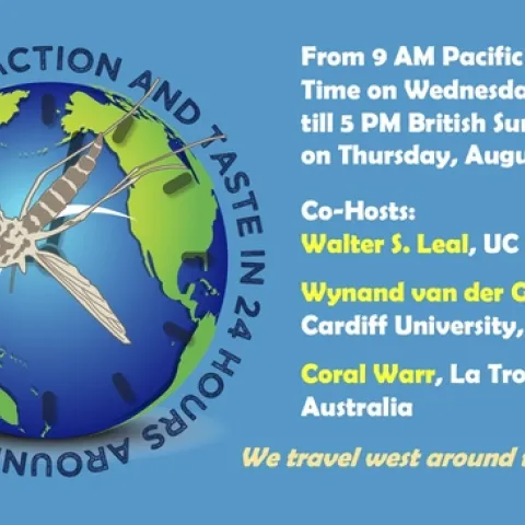 The free international symposium, “Insect Olfaction and Taste in 24 Hours Around the Globe,” begins at 9 a.m, Pacific Daylight Time (PDT), Wednesday, Aug. 11.