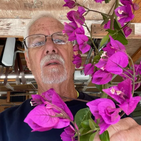 ken williams 2021 bougainvillea