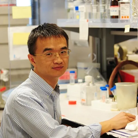 Hammock lab alumnus, Guodong Zhang, associate professor in the University of Massachusetts' Department of Food Science, is the recipient of the Foods 2021 Young Investigator Award. He is shown here in the Hammock lab. (Photo by Kathy Keatley Garvey)