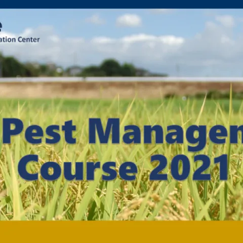 Rice Pest Course