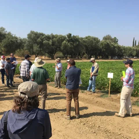 UC Dry Bean Field Day 2018.