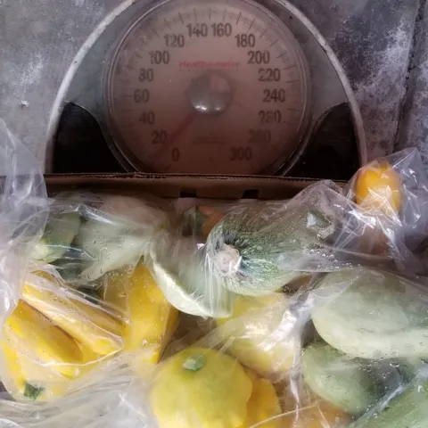 photos by Tina Paris