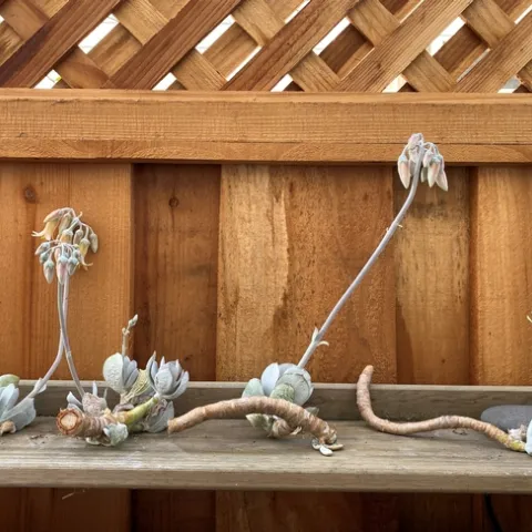 photos by Erin Mahaney