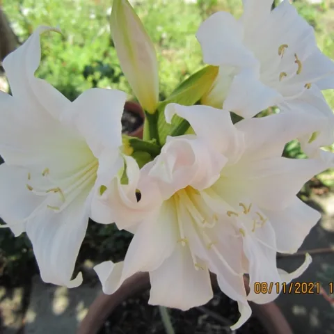 photos by Betsy Buxton