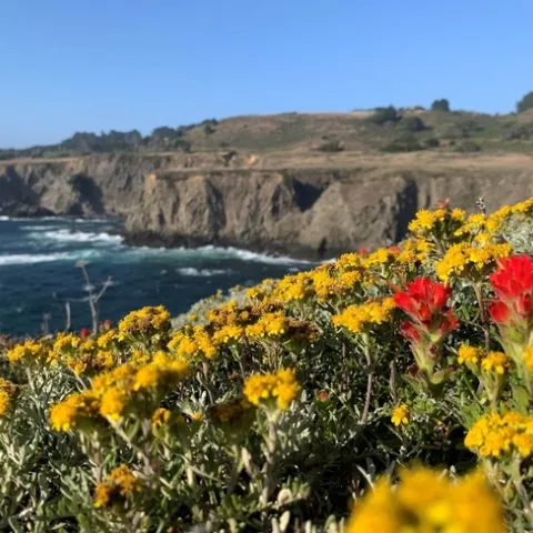 Adina Merenlender CA Biodiversity Day pic