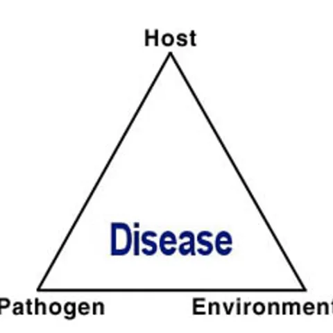 PLant disease triangle English