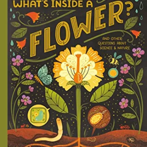 whats inside a flower cover