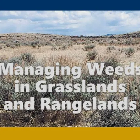 Managing Weeds in Grasslands and Rangelands banner